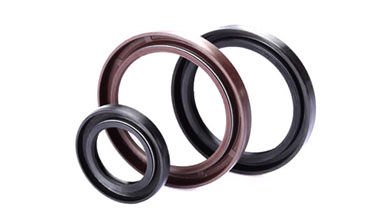 Oil Seals